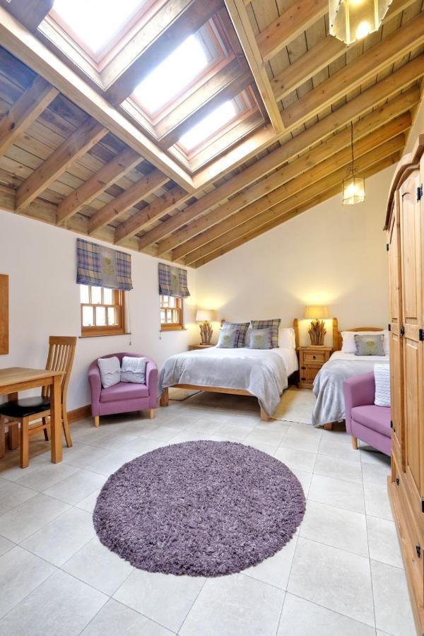 Entire Unique Tiny House - Moss Cabin Banff Dış mekan fotoğraf