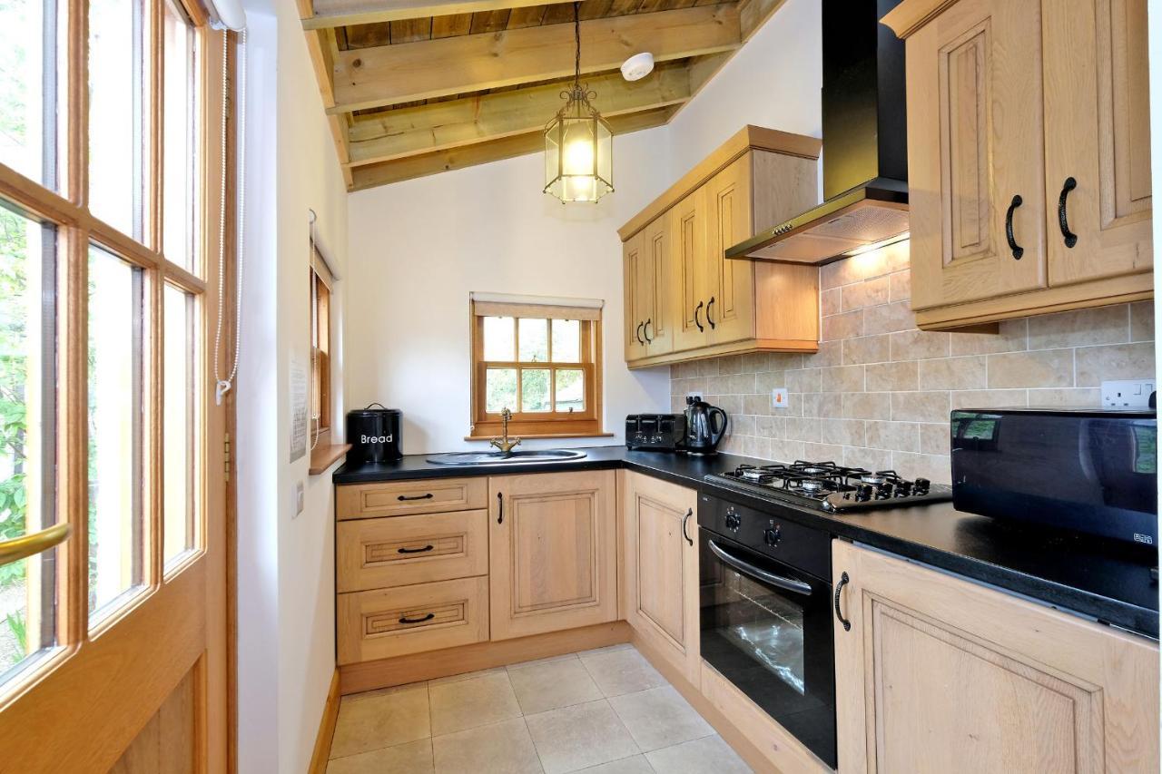 Entire Unique Tiny House - Moss Cabin Banff Dış mekan fotoğraf